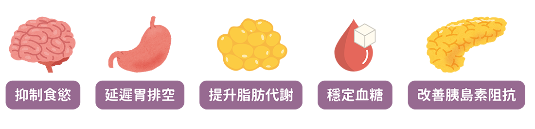 作用示意圖